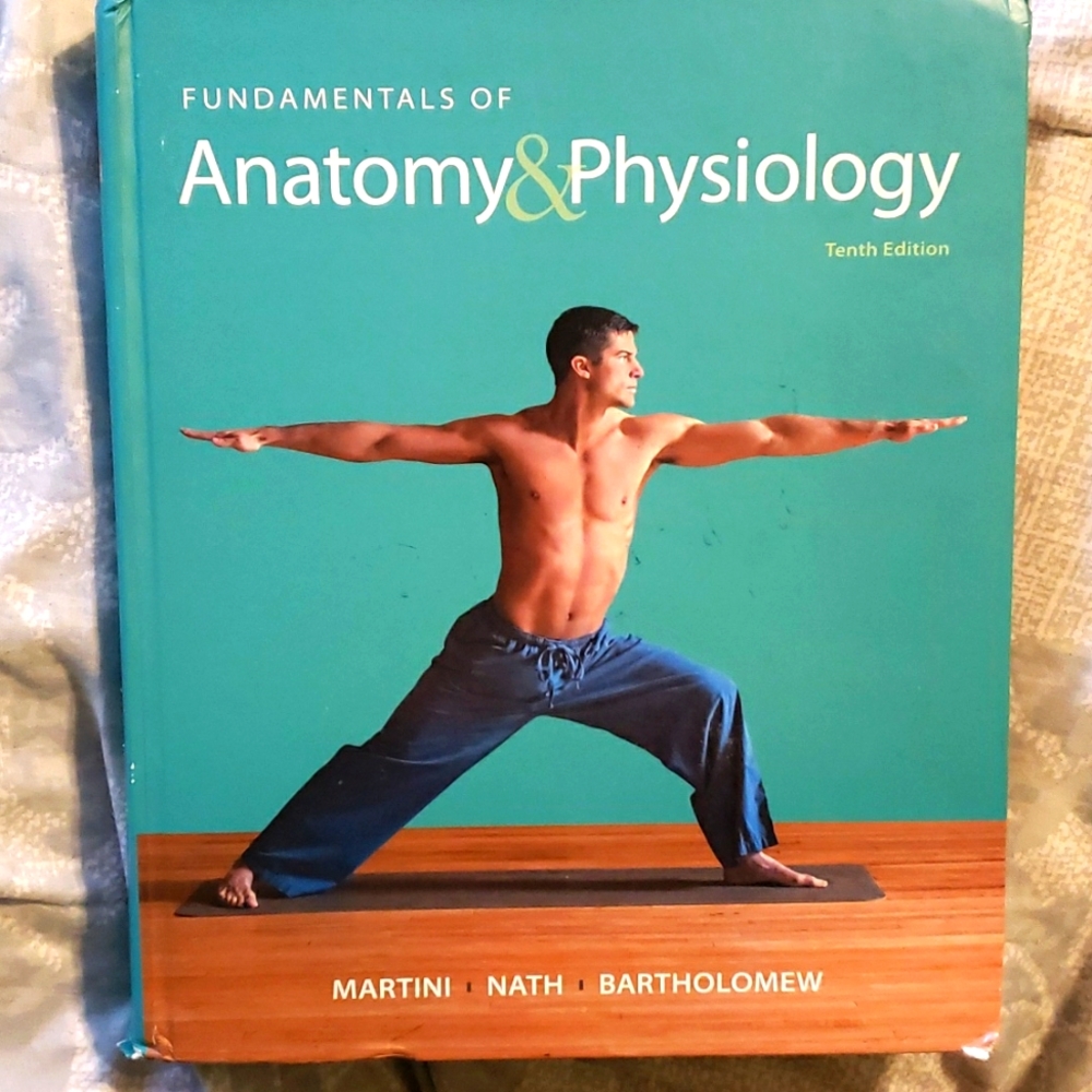 Fundamentals of anatomy and physiology 10th edition